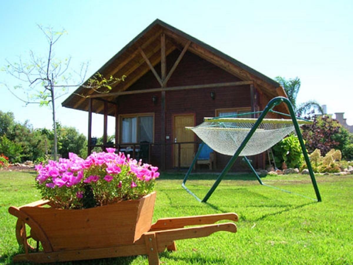 Tal Nof Cabins Manot Room photo