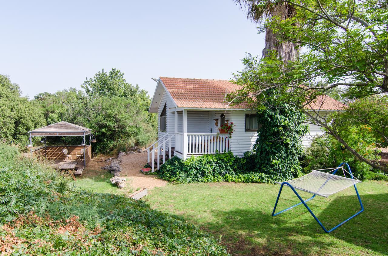 Tal Nof Cabins Manot Exterior photo